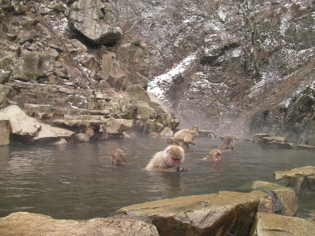Alp Bach Madarao Villa Iiyama Exteriör bild